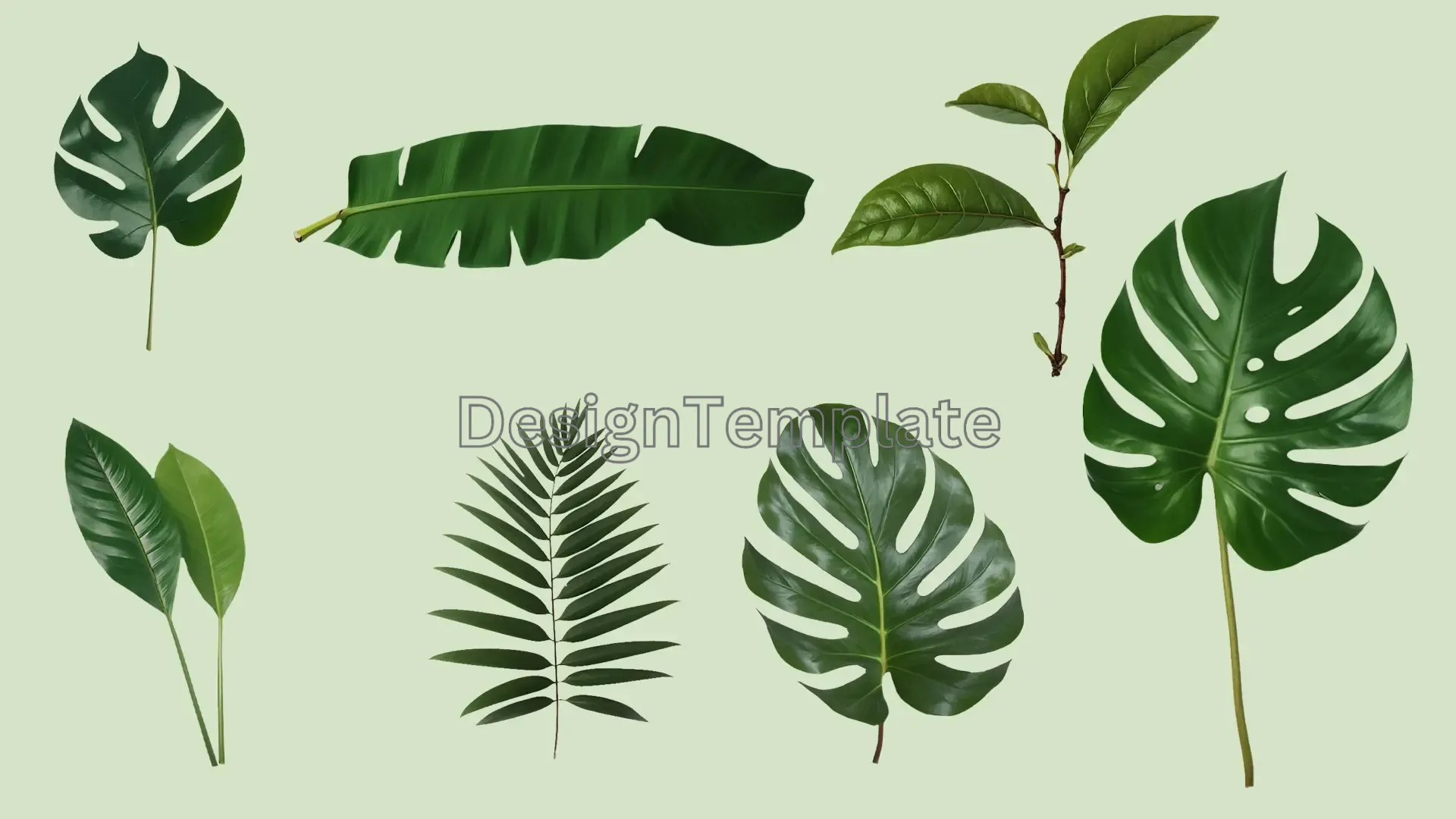 A 3D Collection of Different Green Leaves and Palms image